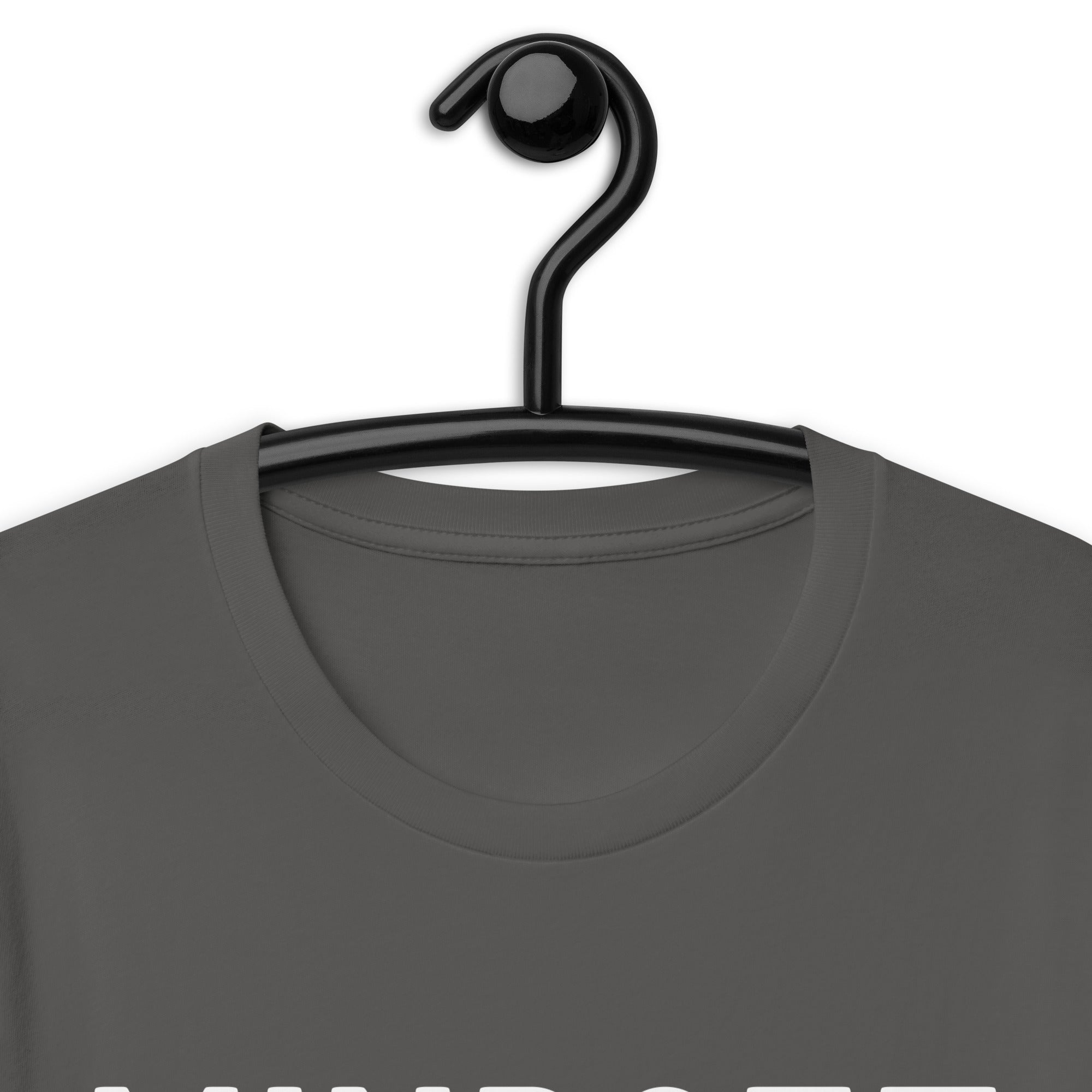 Unisex t-shirt | Midset Master