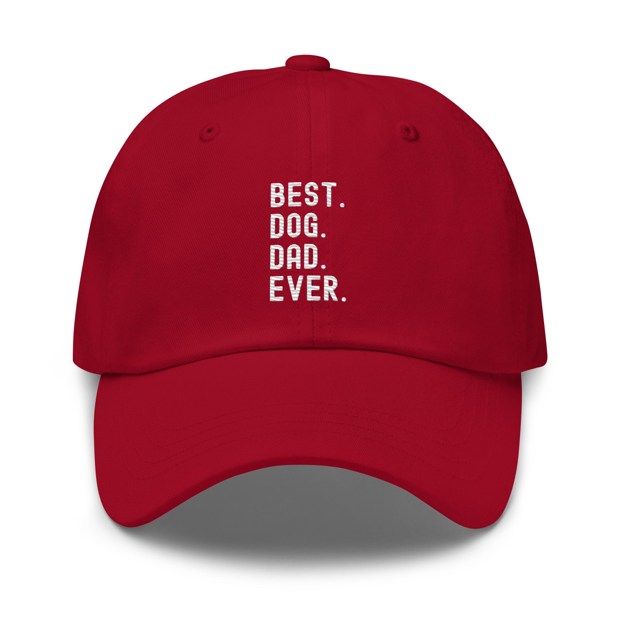 Hat | Best Dog Dad Ever