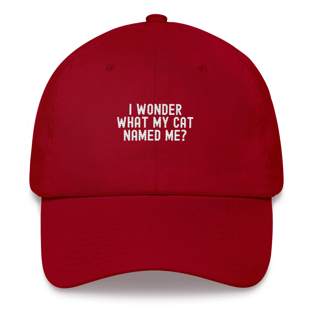 Hat | I wonder what my cat named me