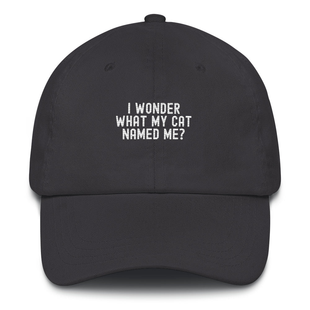 Hat | I wonder what my cat named me