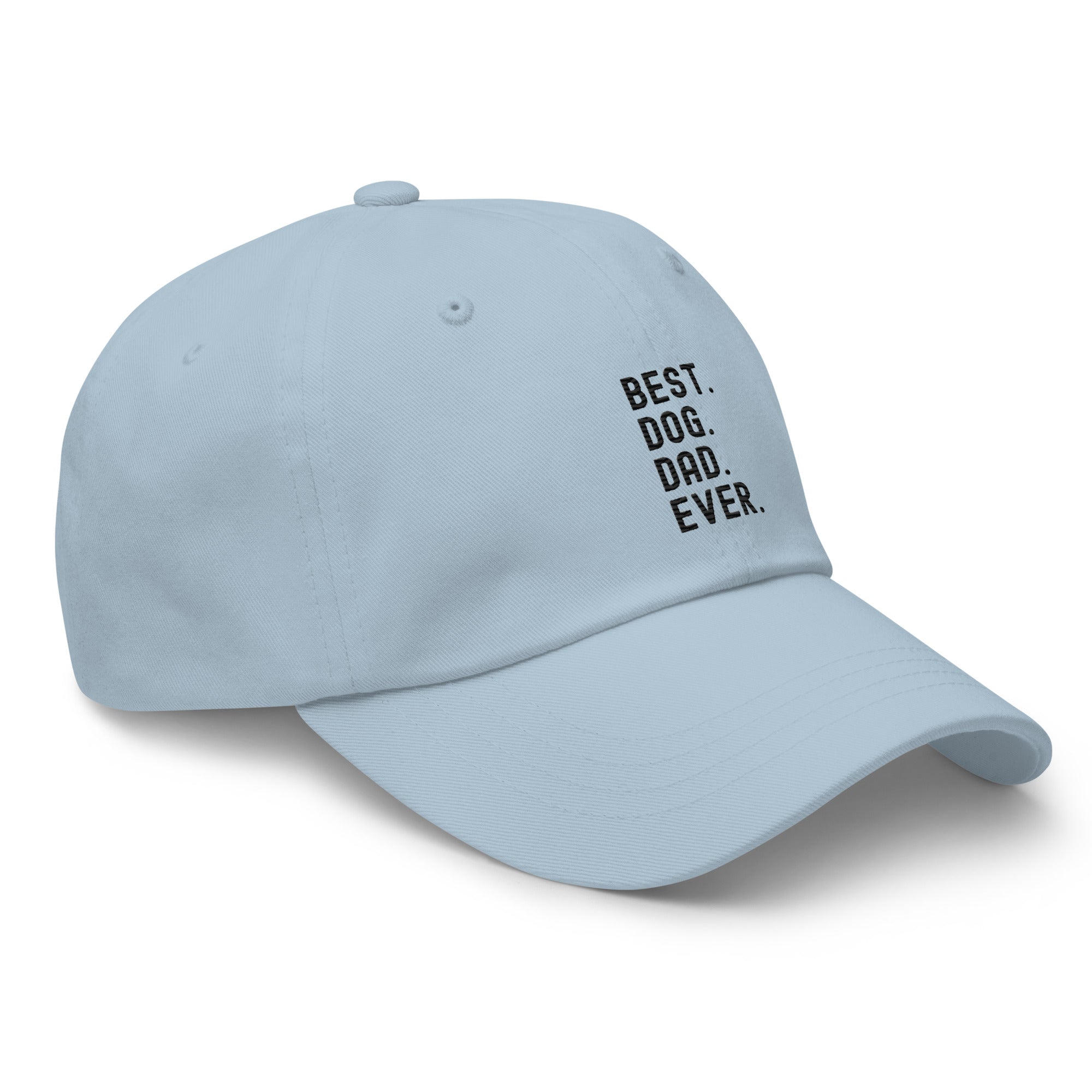 Hat | Best Dog Dad Ever