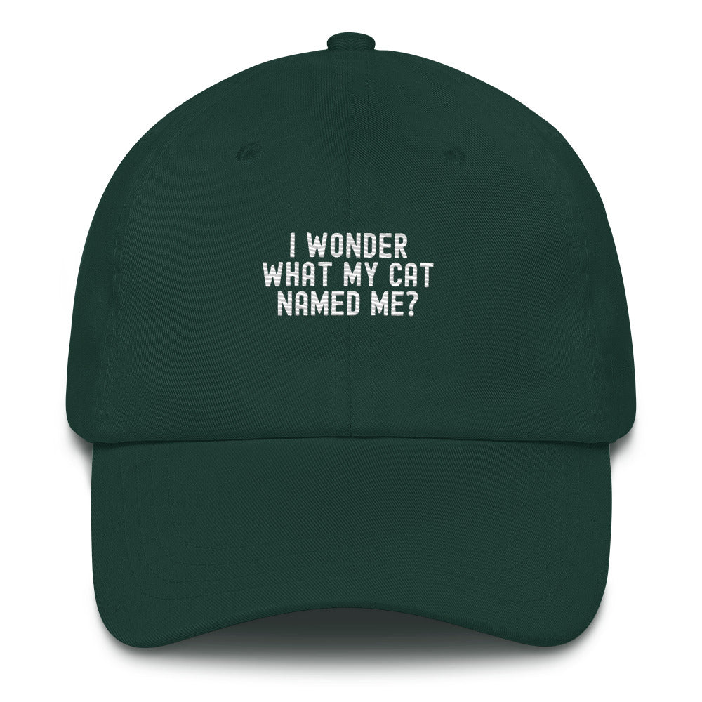 Hat | I wonder what my cat named me