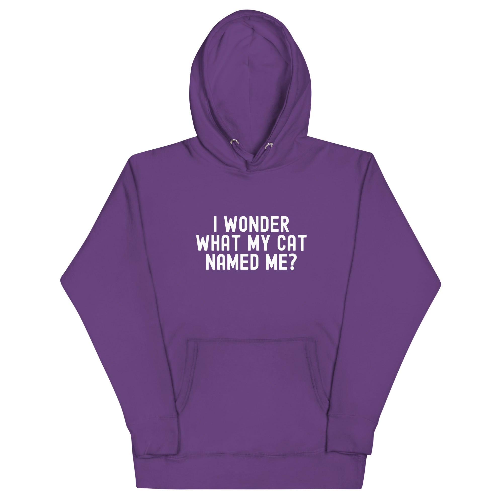 Unisex Hoodie | I wonder what my cat named me