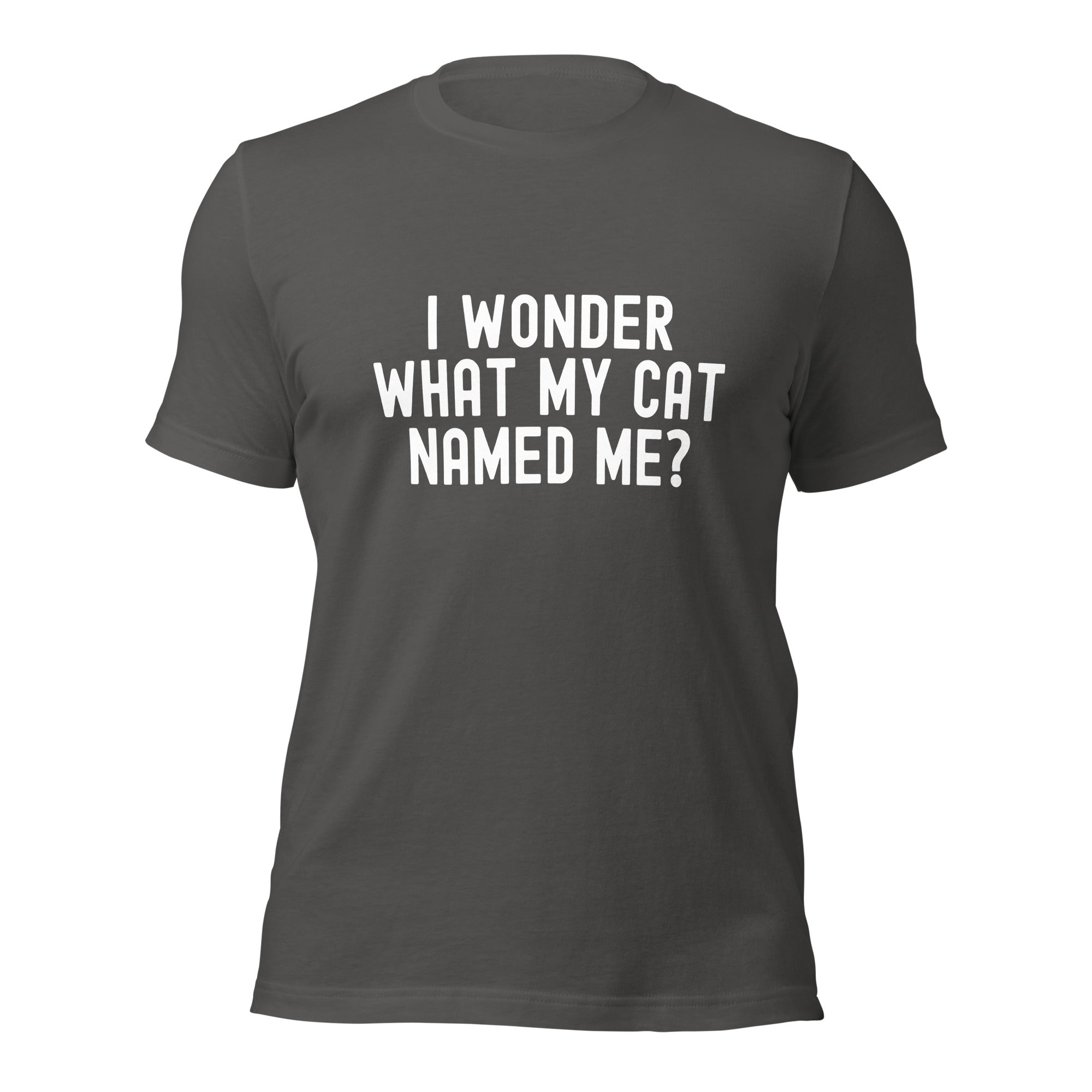Unisex t-shirt | I wonder what my cat named me