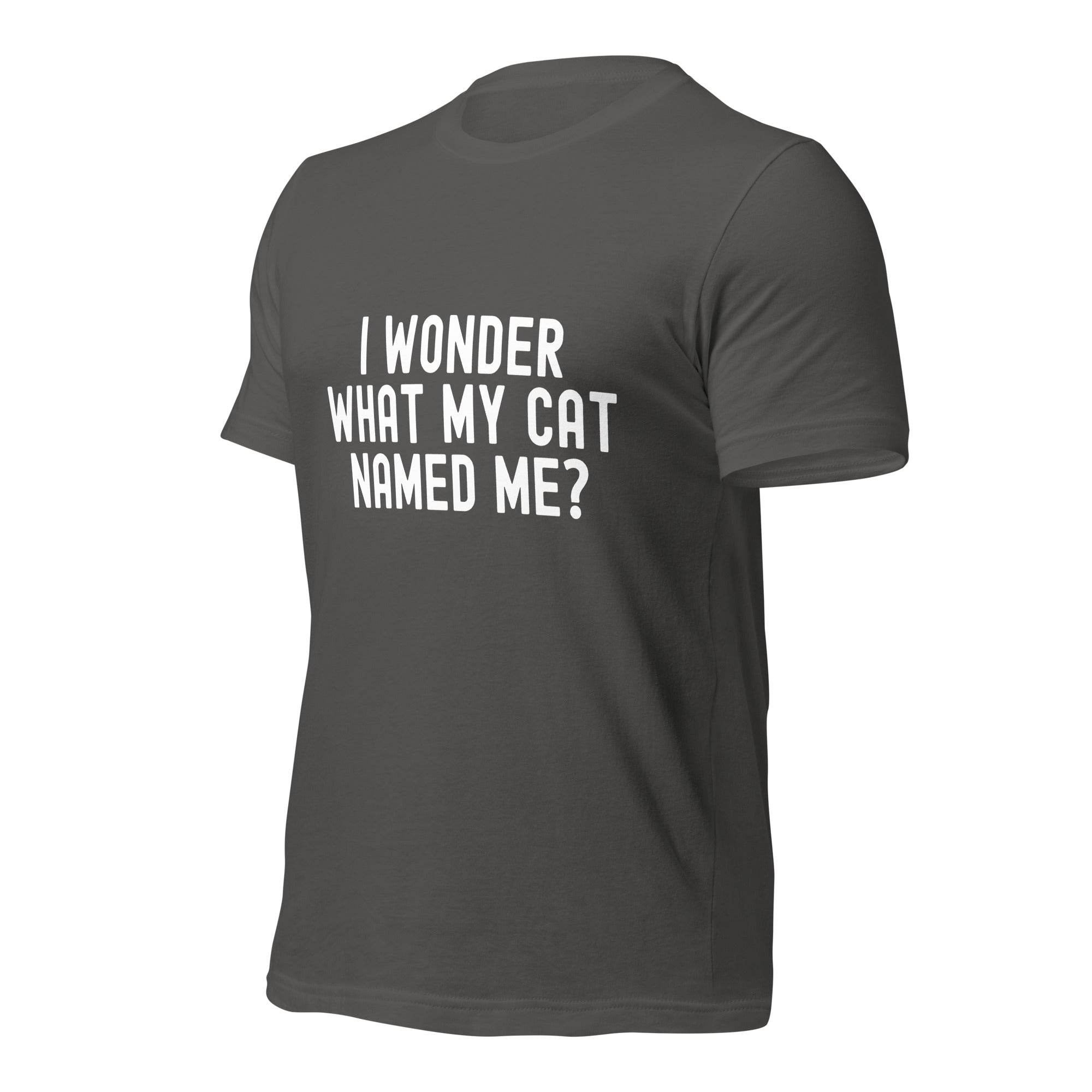 Unisex t-shirt | I wonder what my cat named me