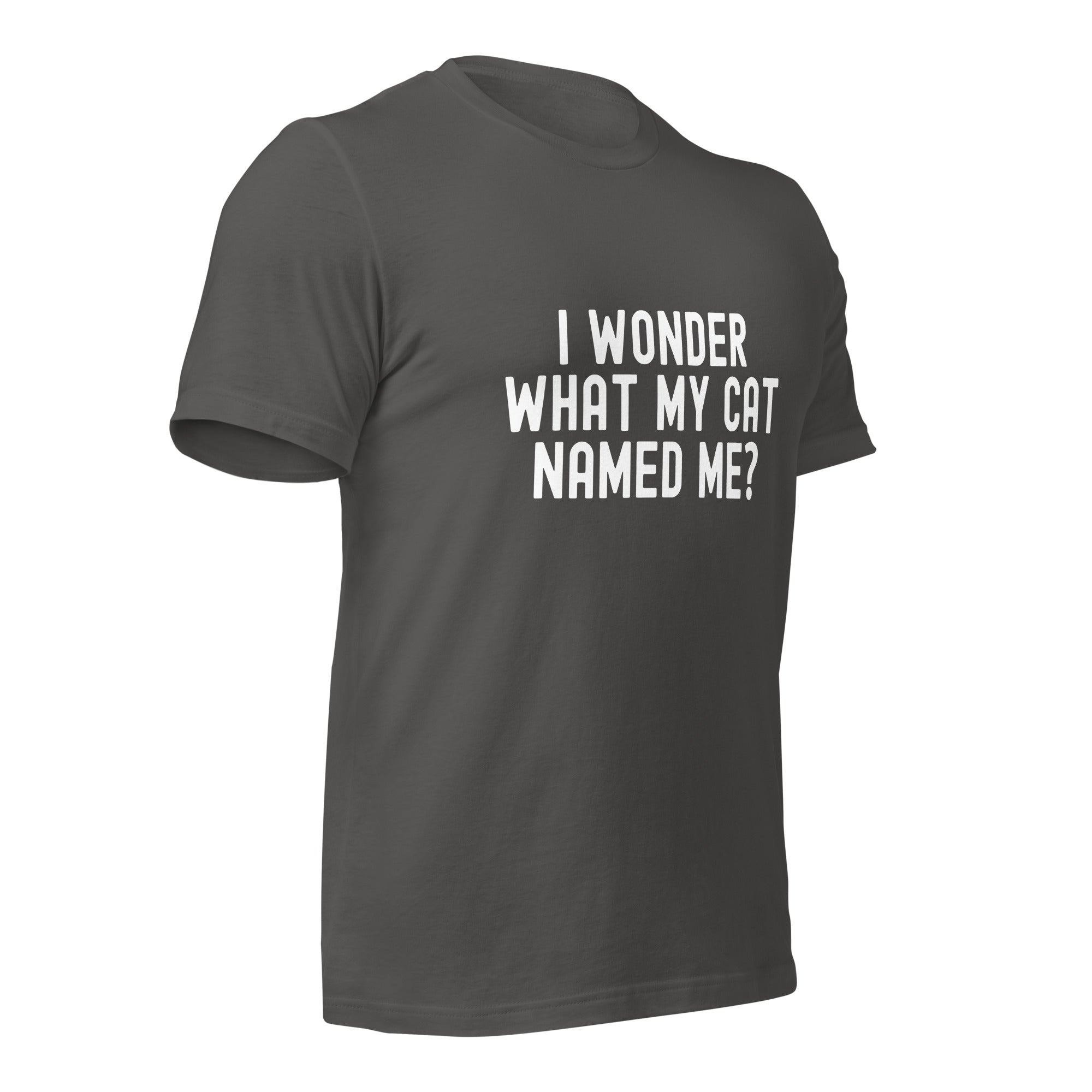 Unisex t-shirt | I wonder what my cat named me