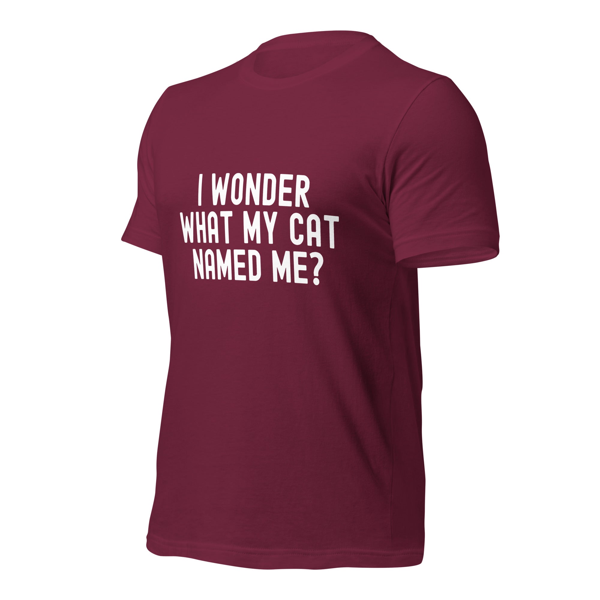 Unisex t-shirt | I wonder what my cat named me