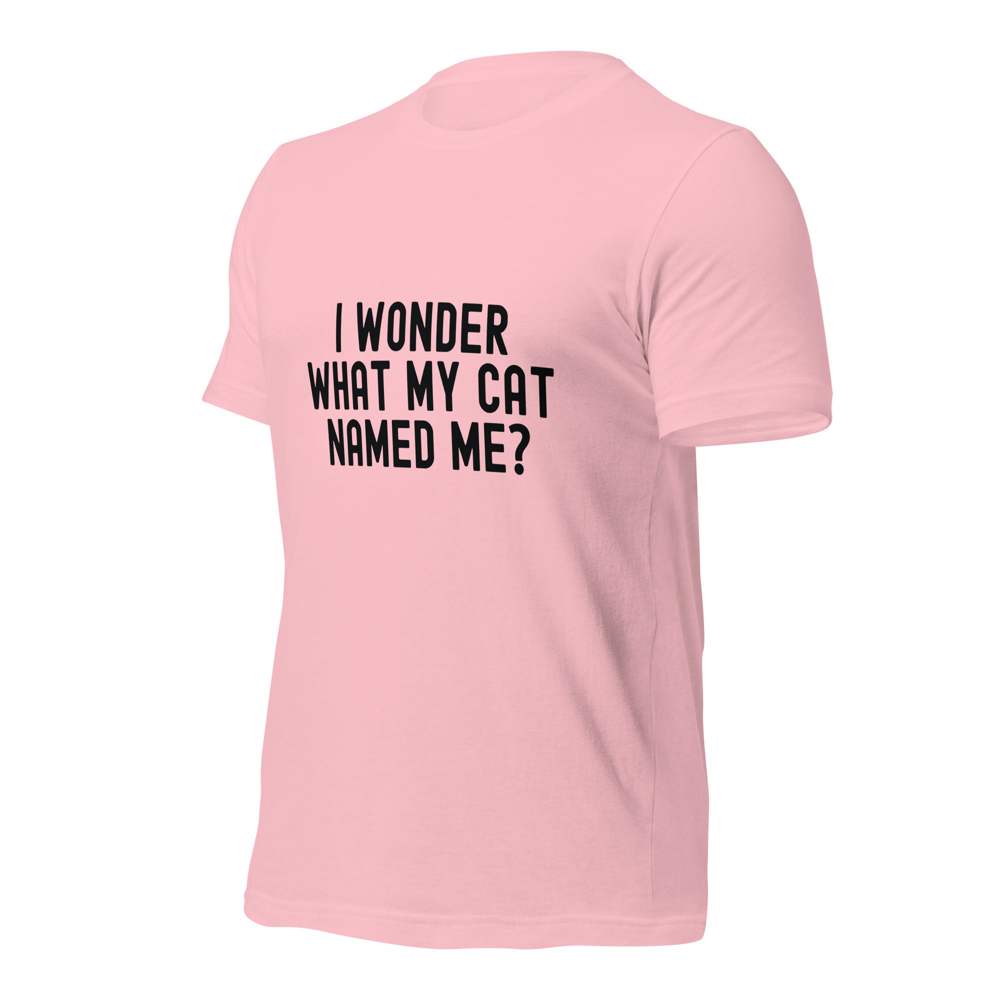 Unisex t-shirt | I wonder what my cat named me