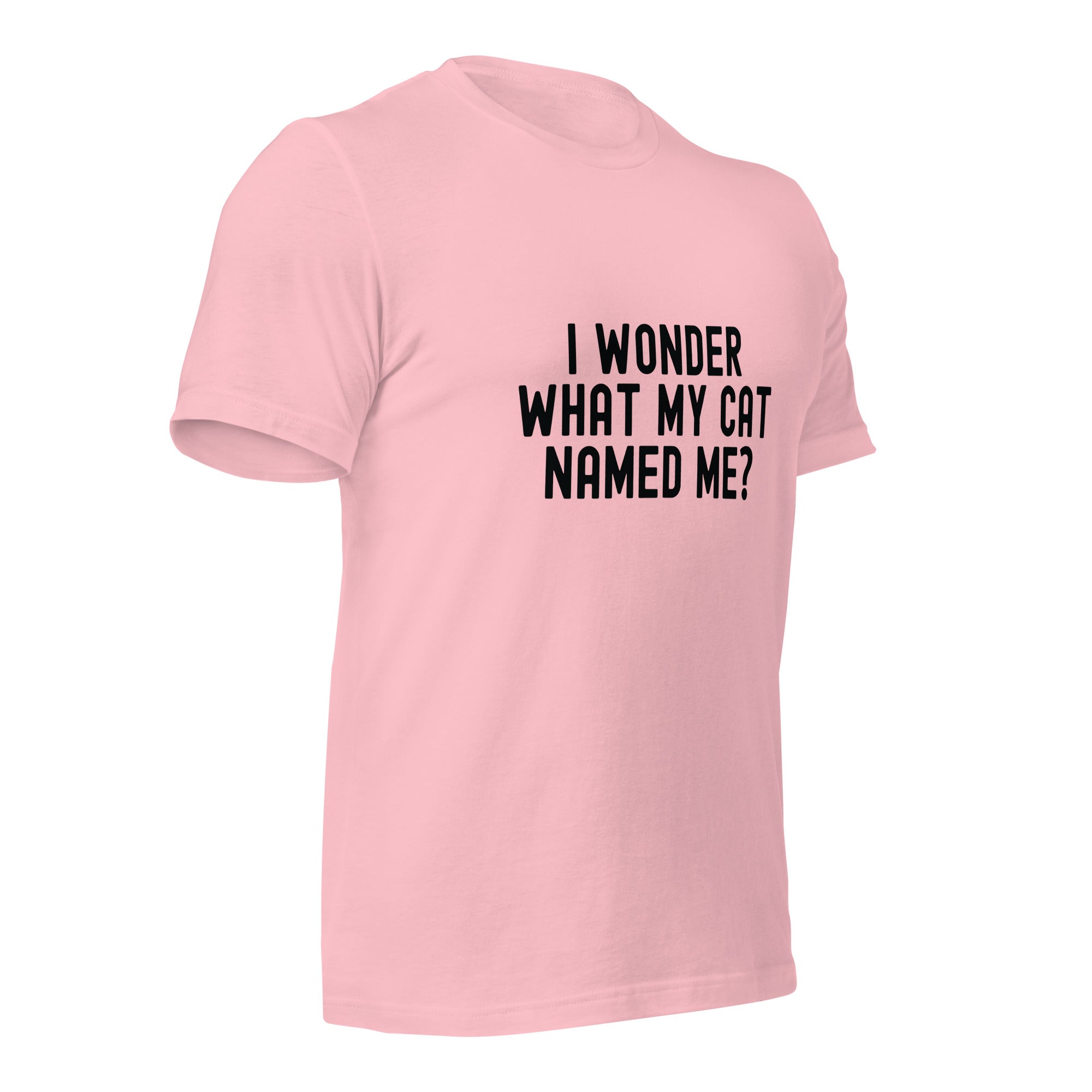 Unisex t-shirt | I wonder what my cat named me