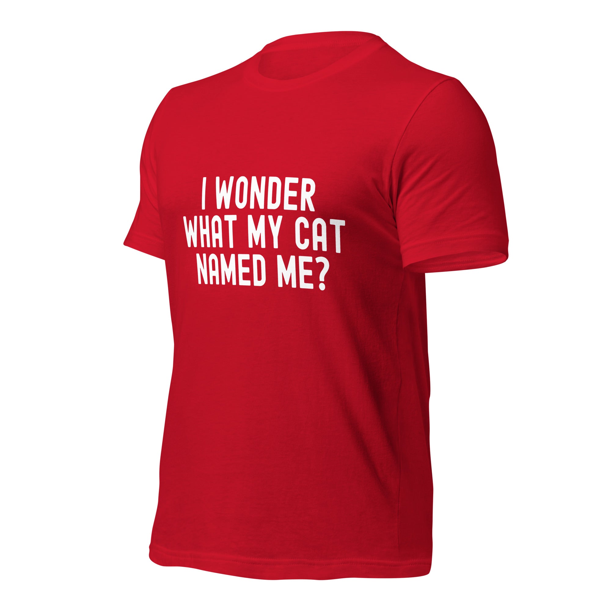 Unisex t-shirt | I wonder what my cat named me