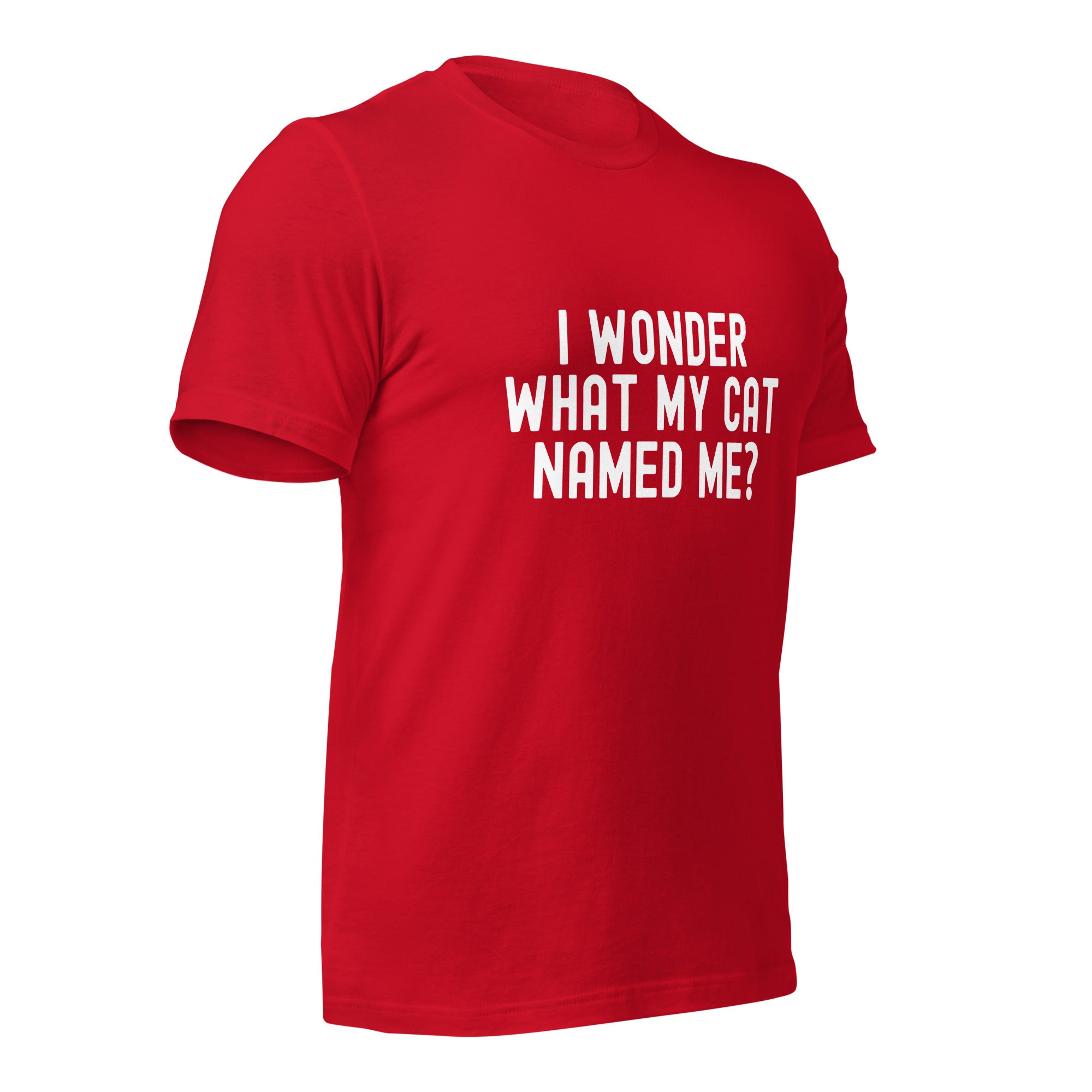 Unisex t-shirt | I wonder what my cat named me