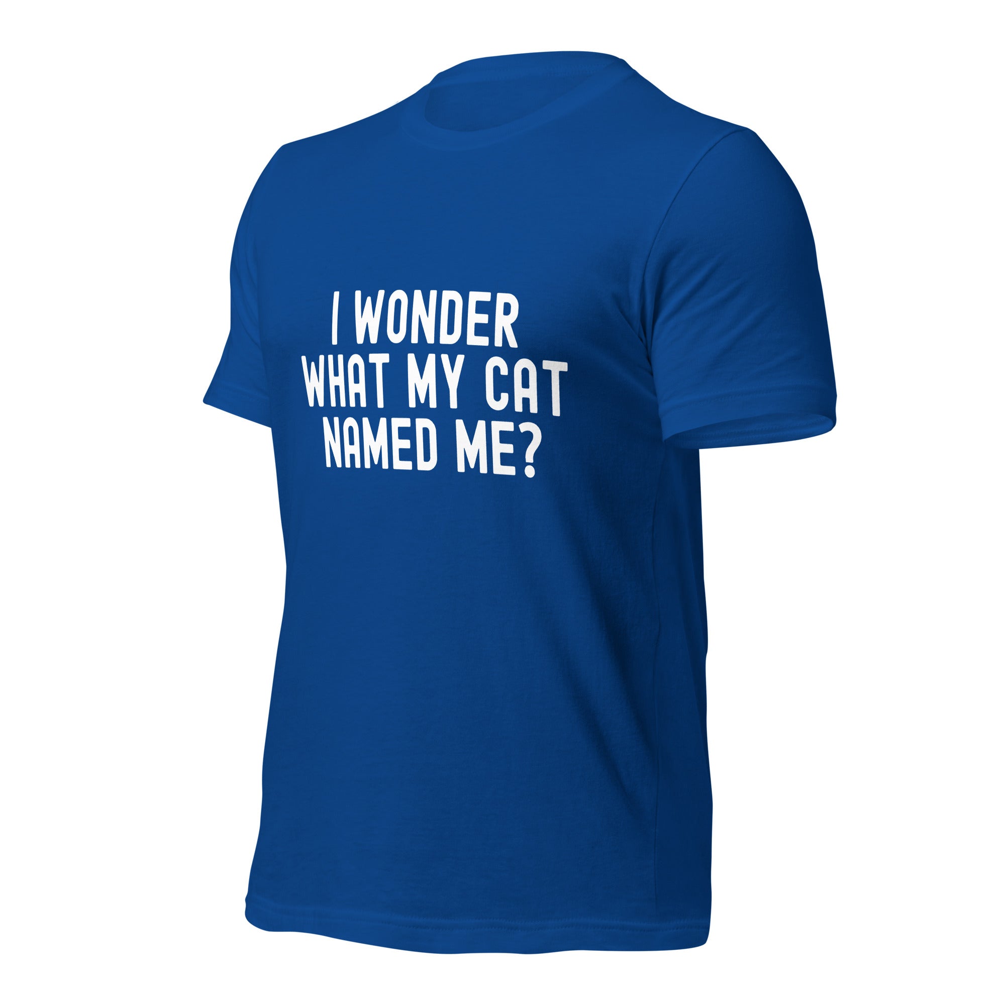 Unisex t-shirt | I wonder what my cat named me