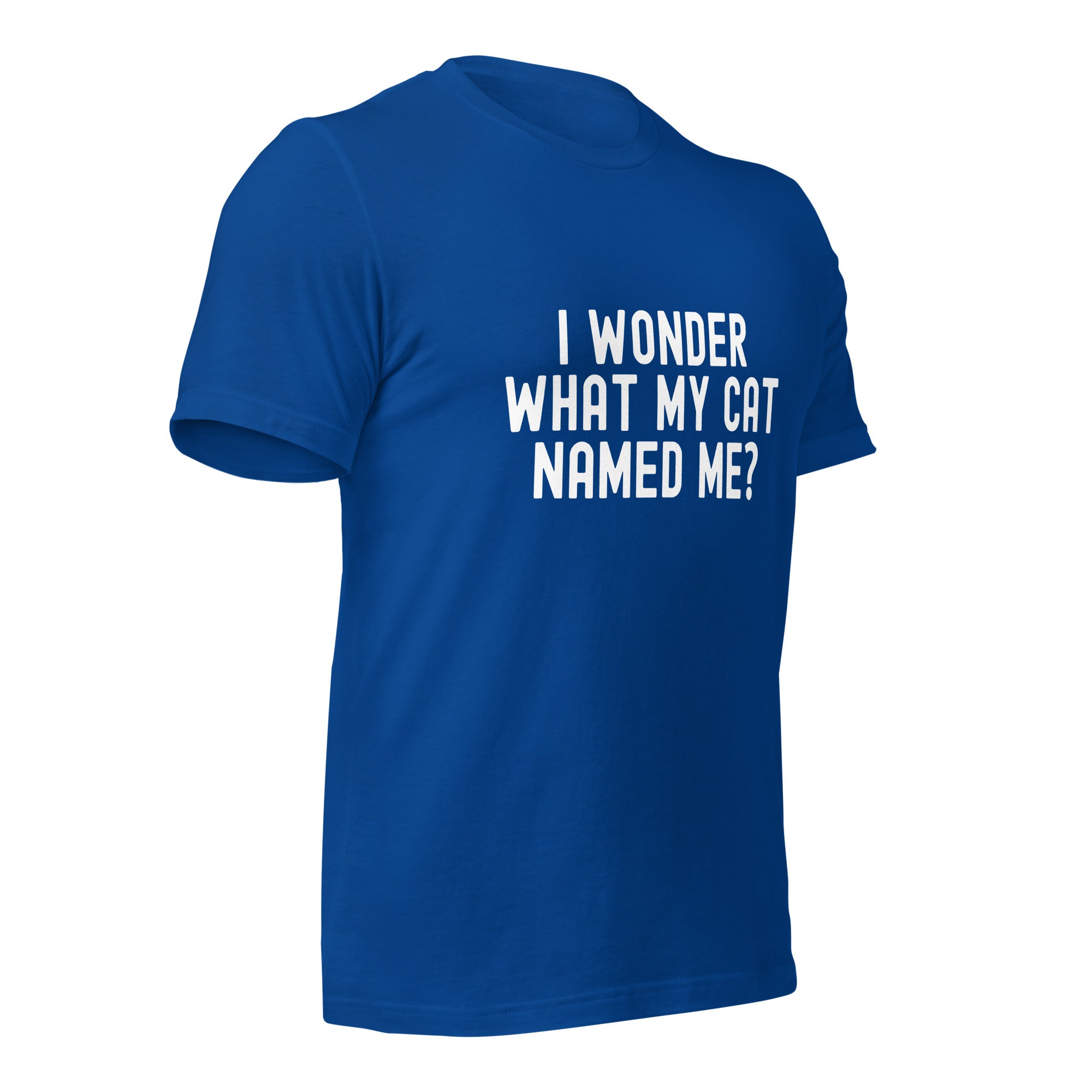 Unisex t-shirt | I wonder what my cat named me
